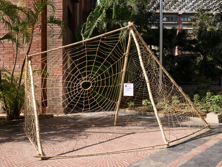 The Web of Life Installation