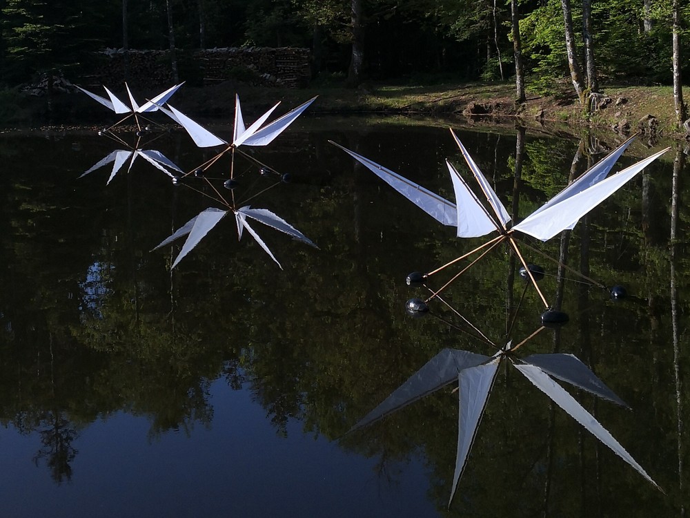 Ballet d'araignées d'eau
