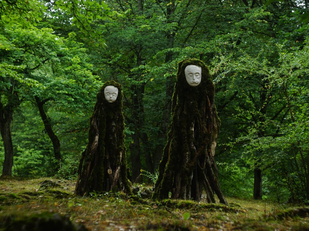 Faces of the Forest
