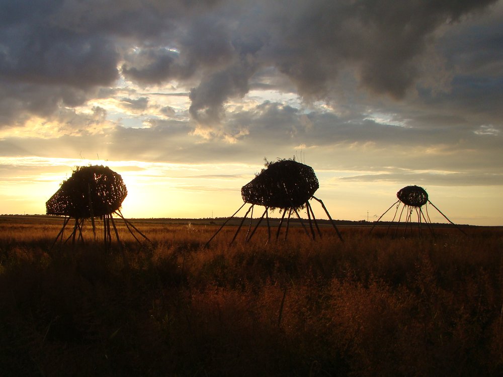 Migration