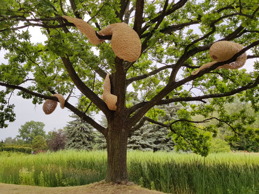 NESTS