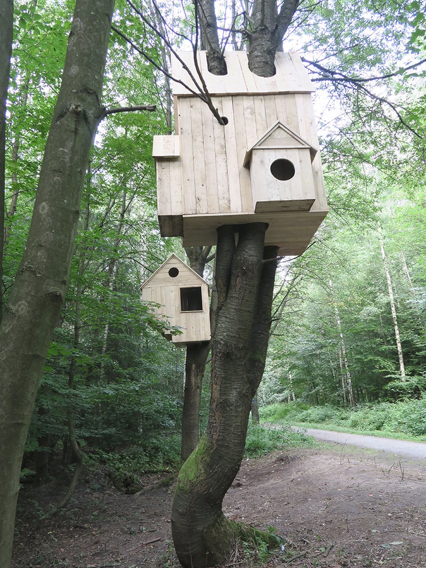 Nests/houses
