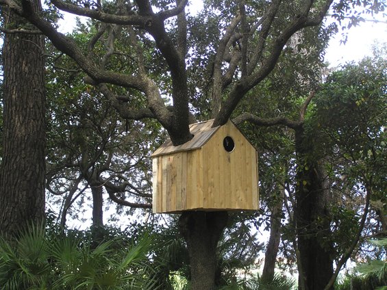 Nest / house
