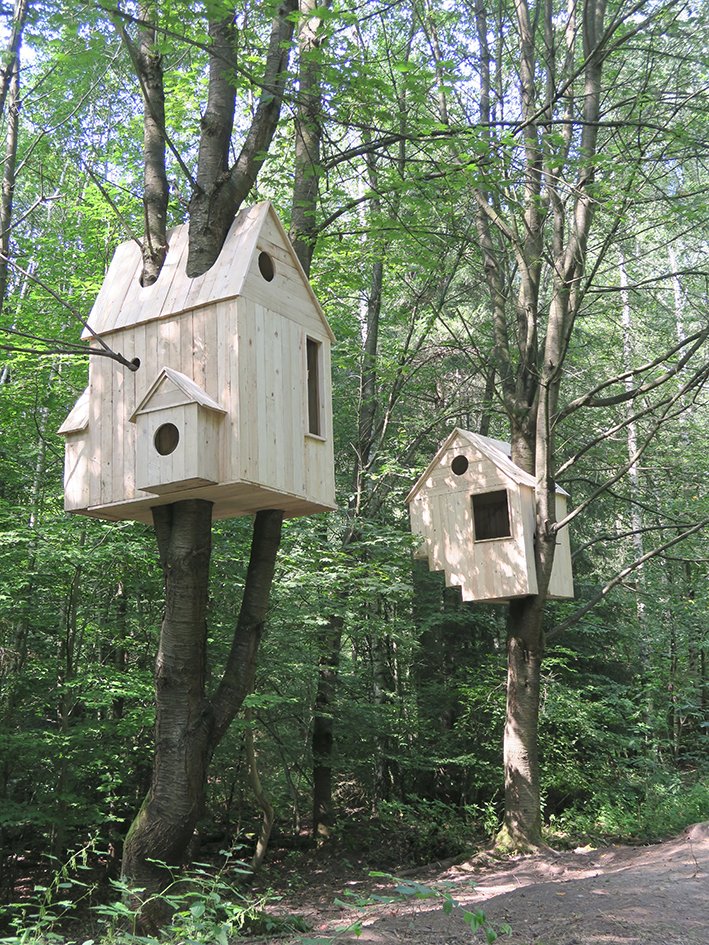 Nests/houses