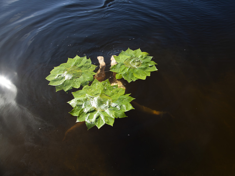 I am an island