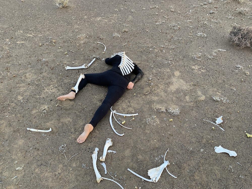 Death of an Oryx