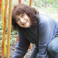 Lorna Green