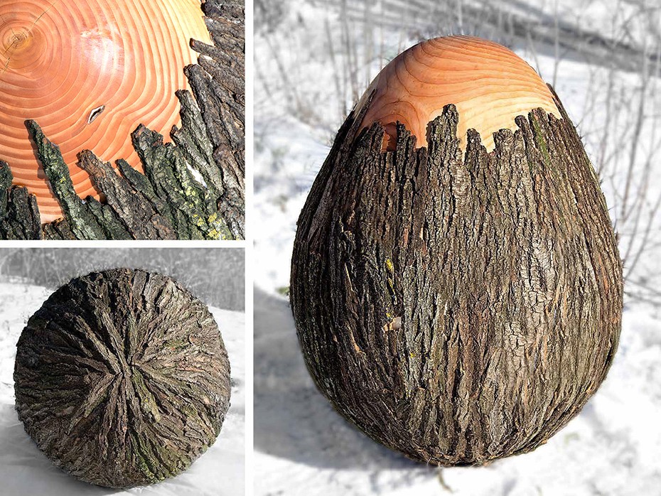 Reforestation