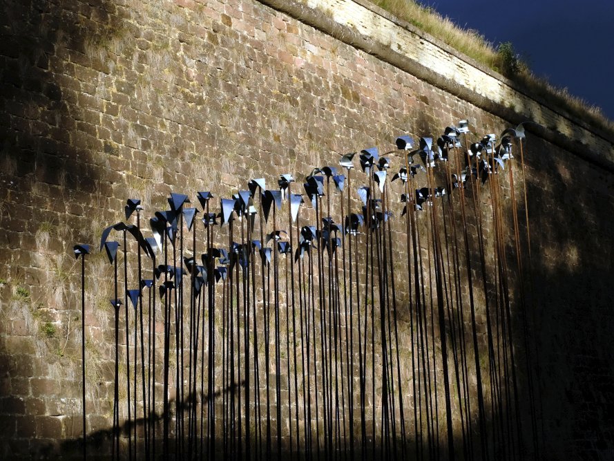 Murmuration