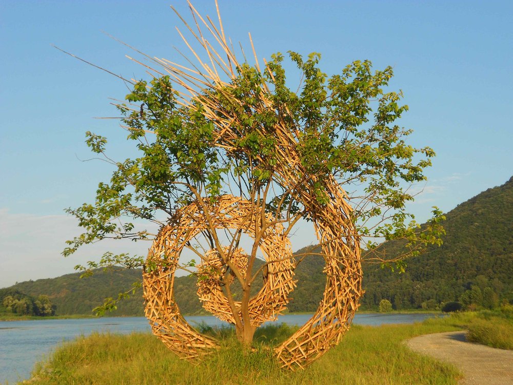 'Whirling', Bamboo 7 x 6 x 1m, Geumgang Nature Art Biennale in Gongju (Korea) 2012