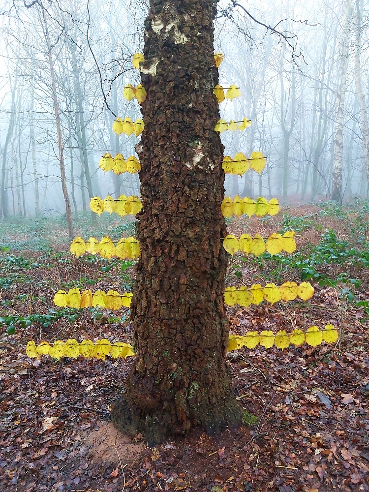 Solstice Tree